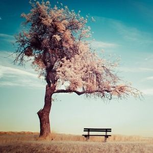 Meet your Posher, Frank